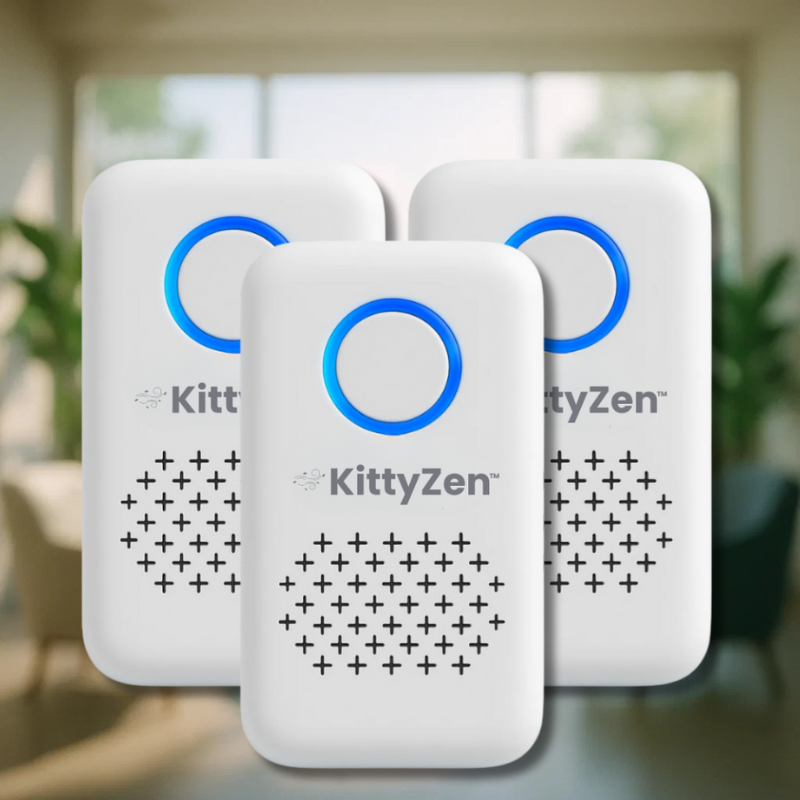 KittyZen- DE